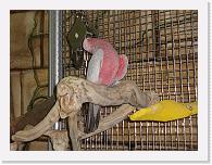 CIMG6172 * 2048 x 1536 * (1.63MB)