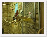 CIMG6177 * 2048 x 1536 * (1.65MB)