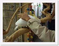 CIMG6178 * 2048 x 1536 * (1.64MB)