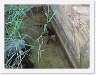 CIMG6187 * 2048 x 1536 * (1.64MB)