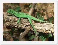 CIMG6188 * 2048 x 1536 * (1.62MB)