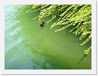 CIMG6003 * 2048 x 1536 * (1.63MB)