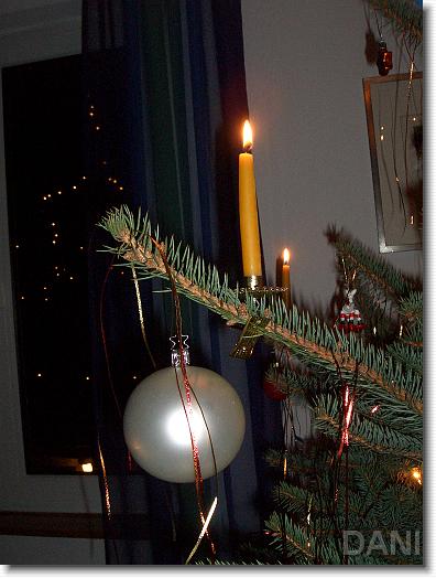Nächstes Bild