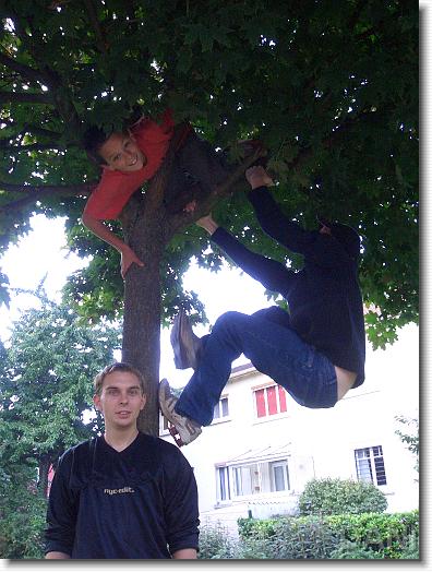 Nächstes Bild
