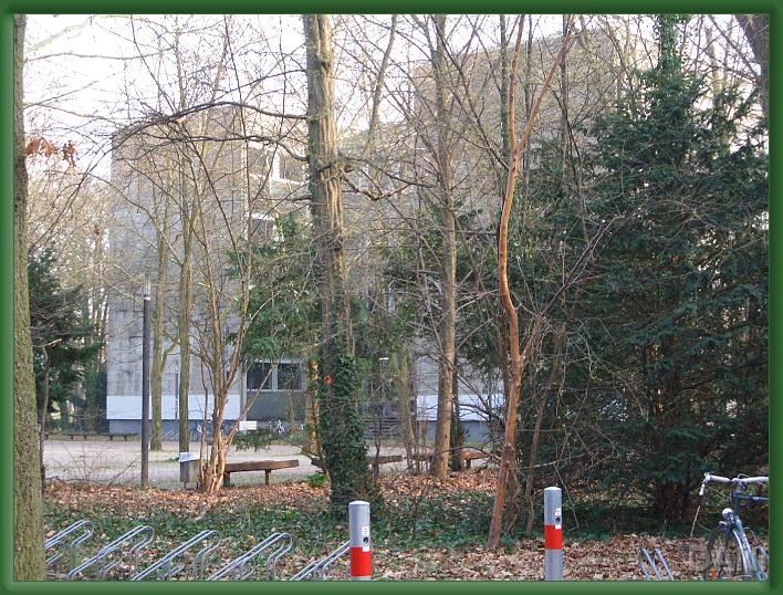 Nächstes Bild