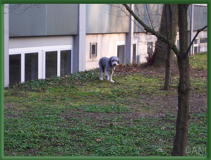Nächstes Bild
