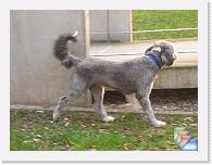 16.03.07 - Lucky * (13 Fotos)