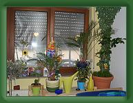 CIMG7029 * 2048 x 1536 * (1.6MB)