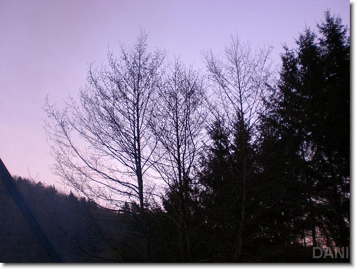 Nächstes Bild