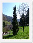 CIMG0170 * 2304 x 3072 * (2.33MB)