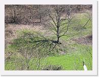 CIMG0175 * 3072 x 2304 * (2.42MB)