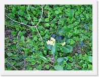 CIMG0179 * 3072 x 2304 * (2.31MB)