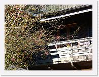 CIMG0183 * 3072 x 2304 * (2.35MB)