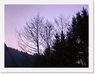 CIMG0243 * 3072 x 2304 * (2.34MB)