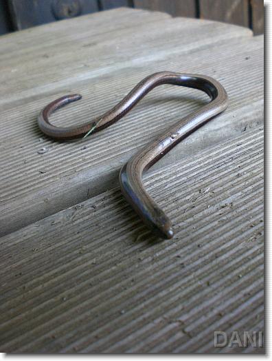 Letztes Bild erreicht