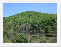 CIMG0378 * 3072 x 2304 * (2.33MB)