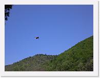 CIMG0382 * 3072 x 2304 * (2.2MB)