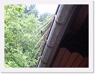 CIMG0751 * 3072 x 2304 * (2.28MB)