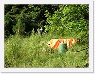 CIMG0769 * 3072 x 2304 * (2.41MB)