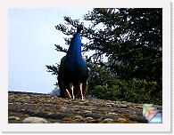 07.06.07 - Rombach * (24 Fotos)