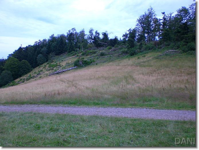 Nächstes Bild