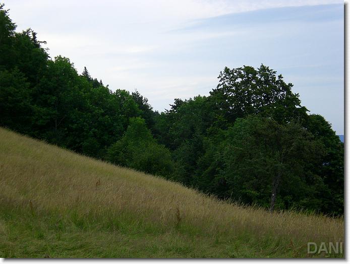 Nächstes Bild