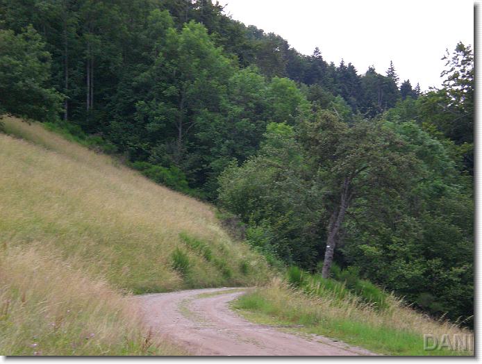 Nächstes Bild
