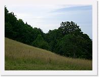 CIMG7202 * 3072 x 2304 * (2.27MB)