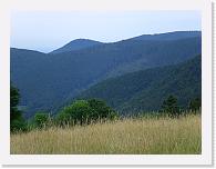 CIMG7210 * 3072 x 2304 * (2.27MB)