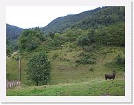 CIMG7216 * 3072 x 2304 * (2.29MB)