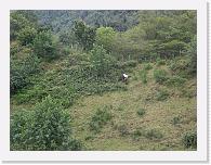 CIMG7217 * 3072 x 2304 * (2.32MB)