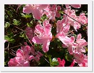 CIMG0450 * 3072 x 2304 * (2.28MB)