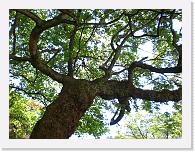 CIMG0465 * 3072 x 2304 * (2.37MB)