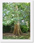 CIMG0468 * 2304 x 3072 * (2.27MB)