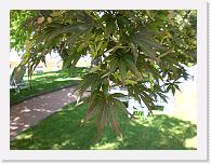 CIMG0492 * 3072 x 2304 * (2.28MB)