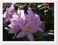 CIMG0495 * 3072 x 2304 * (2.27MB)