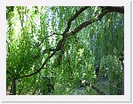 CIMG0552 * 3072 x 2304 * (2.26MB)