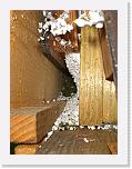 CIMG0624 * 2304 x 3072 * (2.29MB)