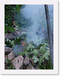 CIMG0629 * 2304 x 3072 * (2.25MB)