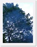 CIMG0636 * 2304 x 3072 * (2.37MB)