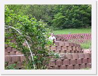CIMG0649 * 3072 x 2304 * (2.31MB)